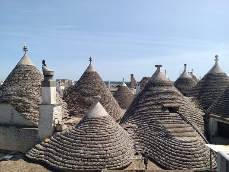 Brindisi: Alberobello, Ostuni Tour for Cruise ship - Value and Practical Insights