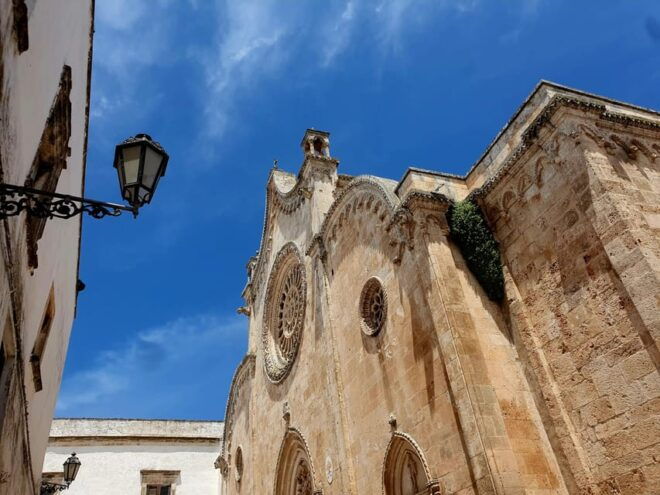 Brindisi: Alberobello, Ostuni Tour for Cruise Ship - Important Information