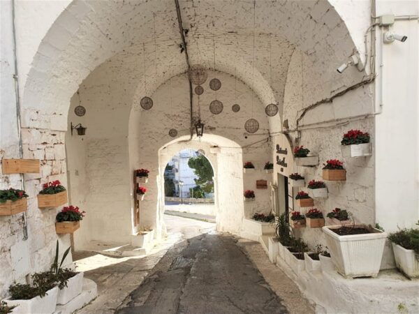 Brindisi: Alberobello, Ostuni Tour for Cruise Ship - Tips for Travelers