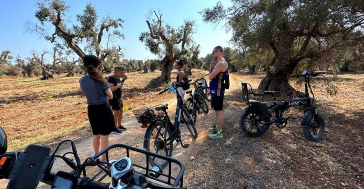 Brindisi: E-Bike Trip to Torre Guaceto Nature Reserve - Experience Highlights