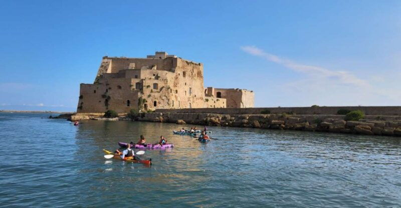 Brindisi: Kayaking at SantAndrea Island & Turtle Watching - Good To Know