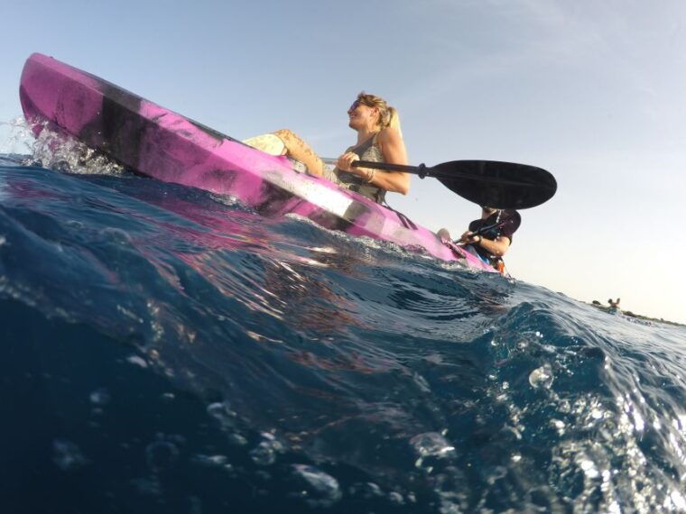 Brindisi: Kayaking at SantAndrea Island & Turtle Watching - Expert Guidance