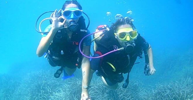 Brindisi: Scuba Diving Trip for Certified Divers - Booking Process