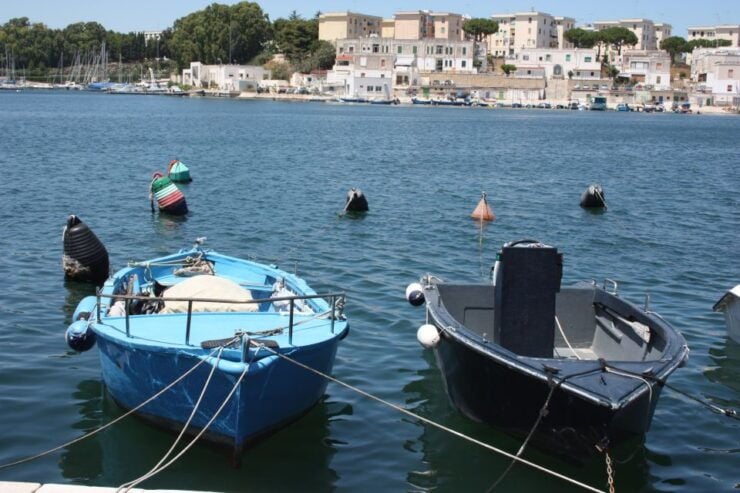 Brindisi: Walking Tour of the Old Town With Local Guide - Experience Highlights