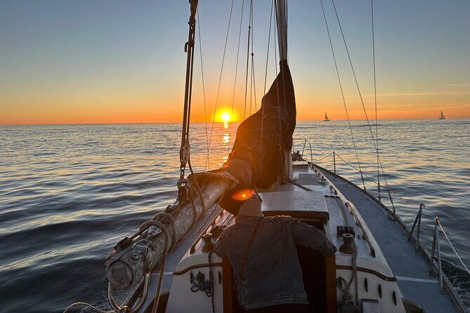 Bring Your Own Beverages One Hour Harbor Cruise - Authentic Experiences and Unique Highlights