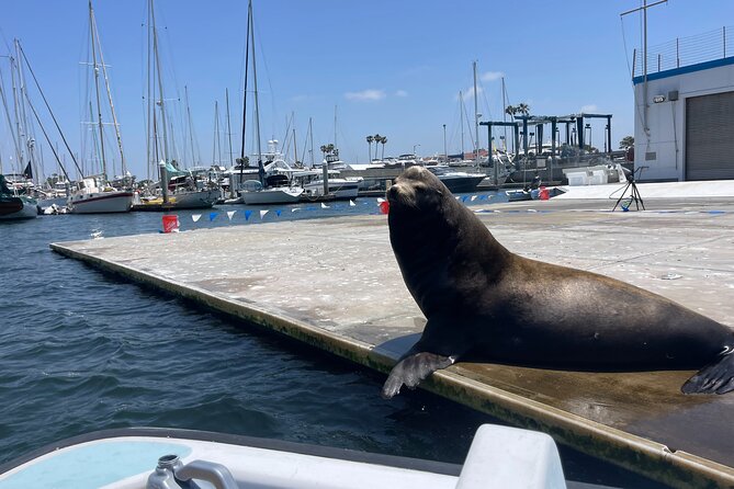 Bring-Your-Own-Food and Drinks Marina Del Rey Boat Tour - Boat Tour Activity Details