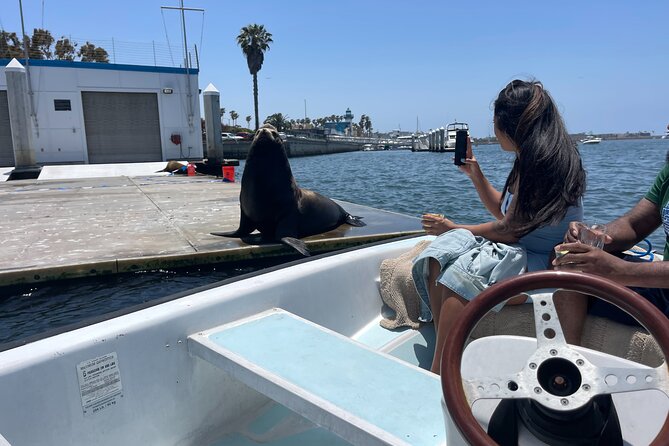Bring-Your-Own-Food and Drinks Marina Del Rey Boat Tour - Inclusions and Logistics