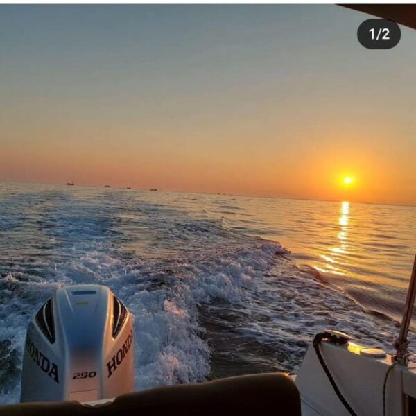 Brioni Private Sunset and Dolphin Boat Tour up to 11 People - What to Bring