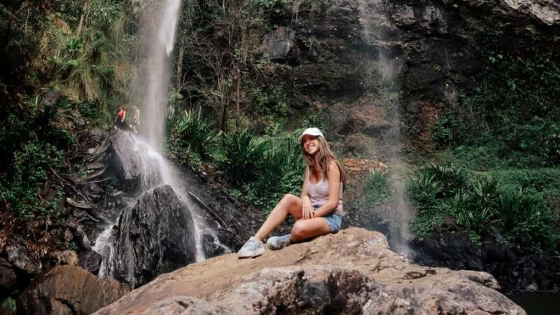 Brisbane: 6 Waterfalls, Koalas & Natural Bridge Day Tour - Scenic Drive and Purling Brook Falls