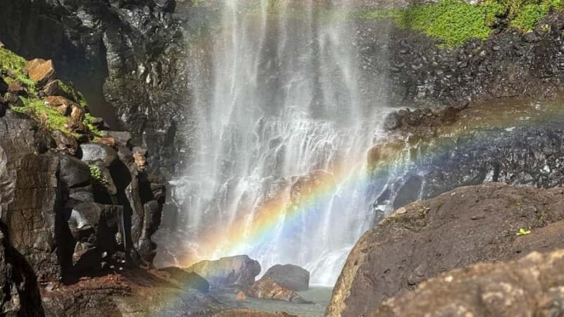 Brisbane: 6 Waterfalls, Koalas & Natural Bridge Day Tour - Canyon Lookout and a Lunch Break Surrounded by Nature