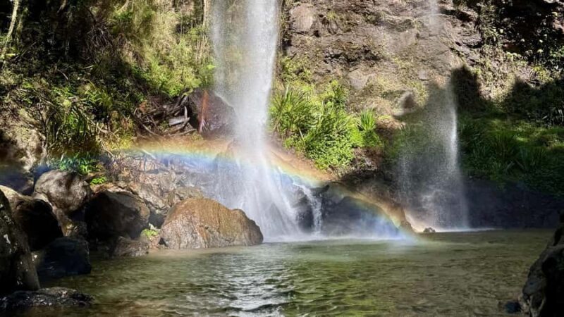 Brisbane: 6 Waterfalls, Koalas & Natural Bridge Day Tour - The Grand Finale: Natural Bridge