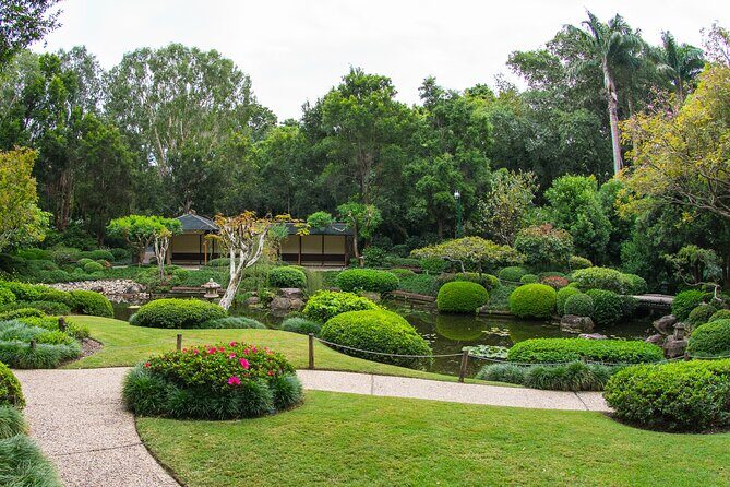 Brisbane Bus Tour: Max 10 people | Half Day | Morning tea inc. - Final Thoughts: Is This Tour Worth It?