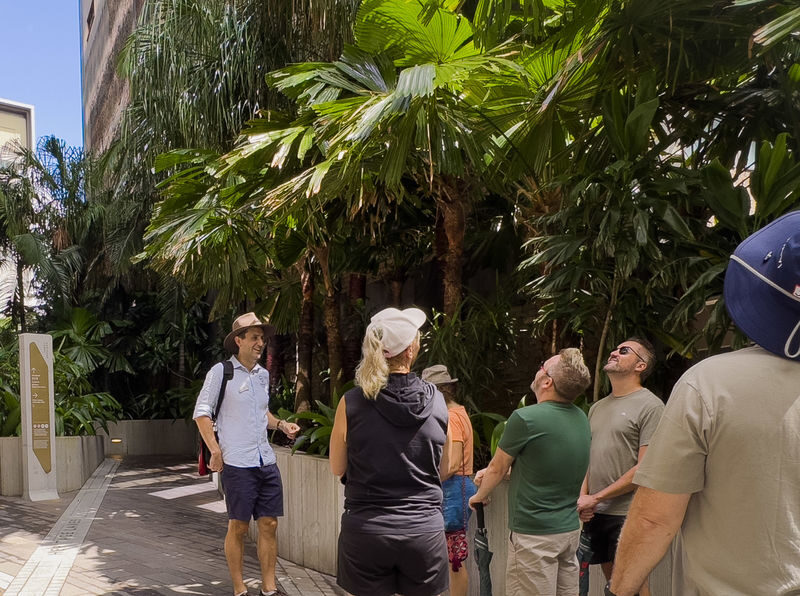 Brisbane City Highlights Half-Day Walking Tour - What the price buys, and what it does not