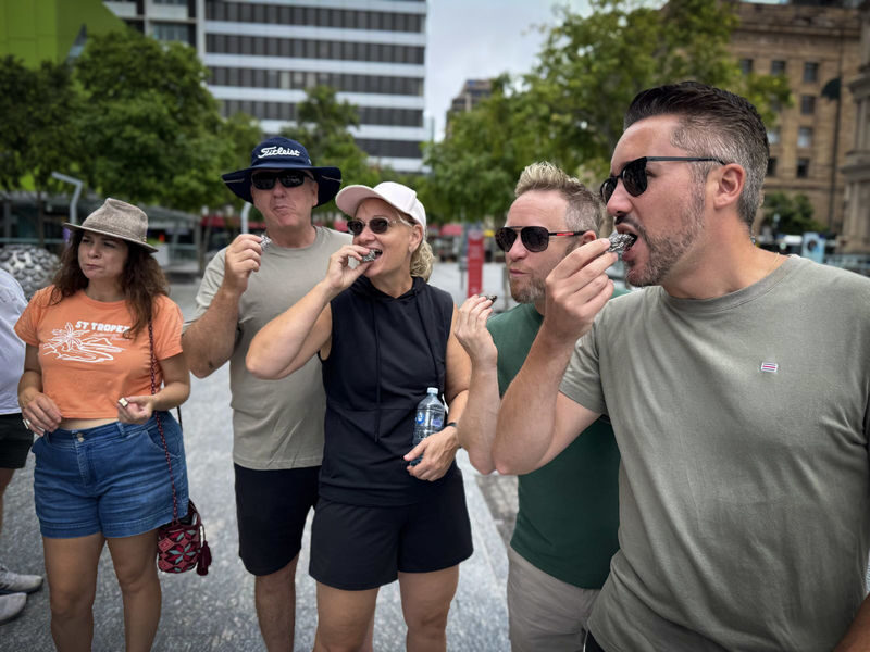 Brisbane City Highlights Half-Day Walking Tour - Who should book this Brisbane walk?