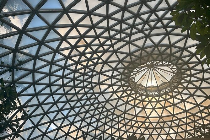 Brisbane City Highlights Sightseeing Tour - Common Questions