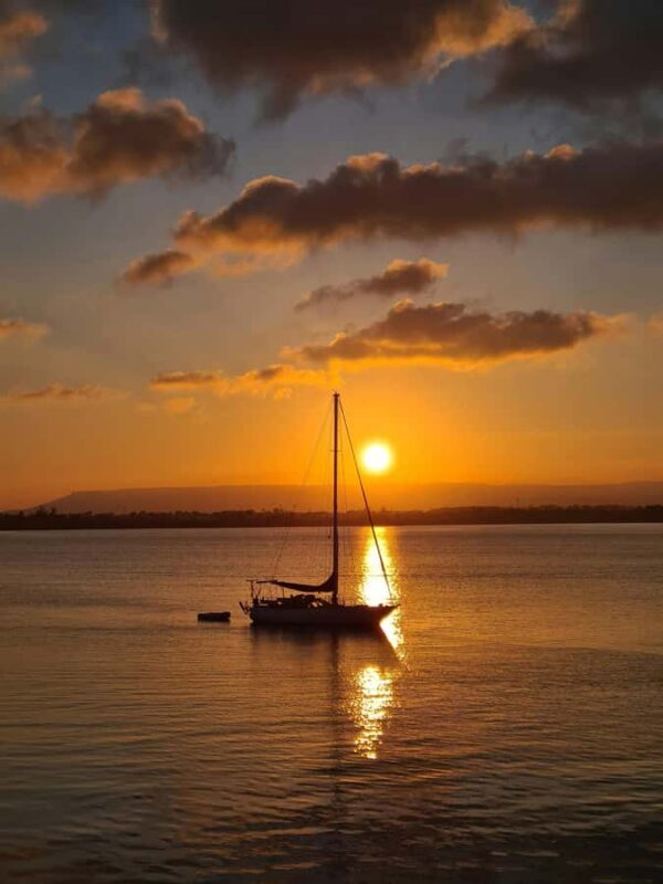 Brisbane: Eumundi Markets, Noosa Gems & Afternoon Cruise - The Relaxing Afternoon Cruise: Unwinding on the Water