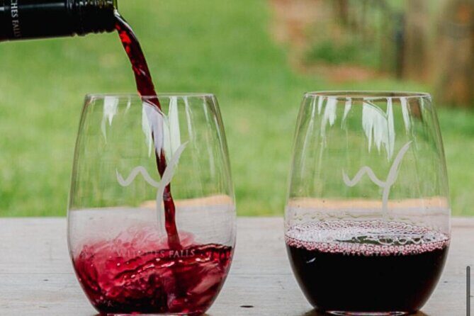 Brisbane: Glow Worms, Sunset, Telescope Stargazing & Dinner - The Sum Up