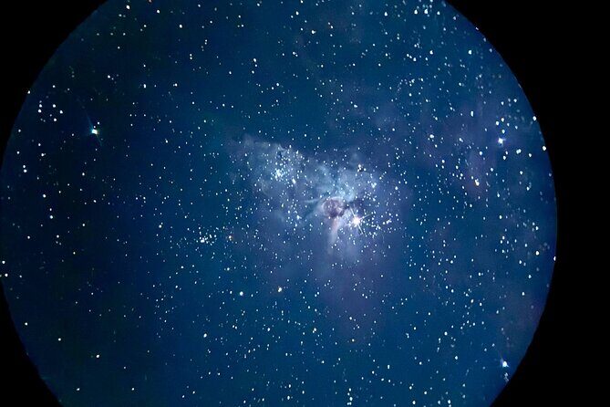 Brisbane/Gold Coast: Sunset, Dinner, Stars/Premium Telescope - What Reviewers Say