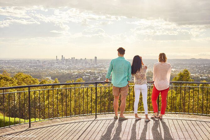 Brisbane Insights Tour - Exploring Brisbane with the Insights Tour: A Genuine Guide