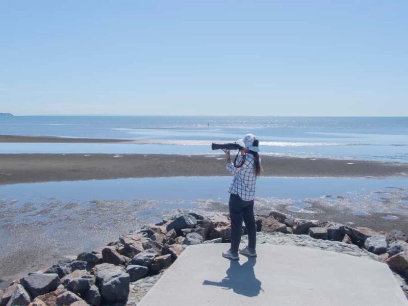 Brisbane: Kangaroos, Birds and Mangroves Coastal Tour - Authentic Experiences and Guest Insights