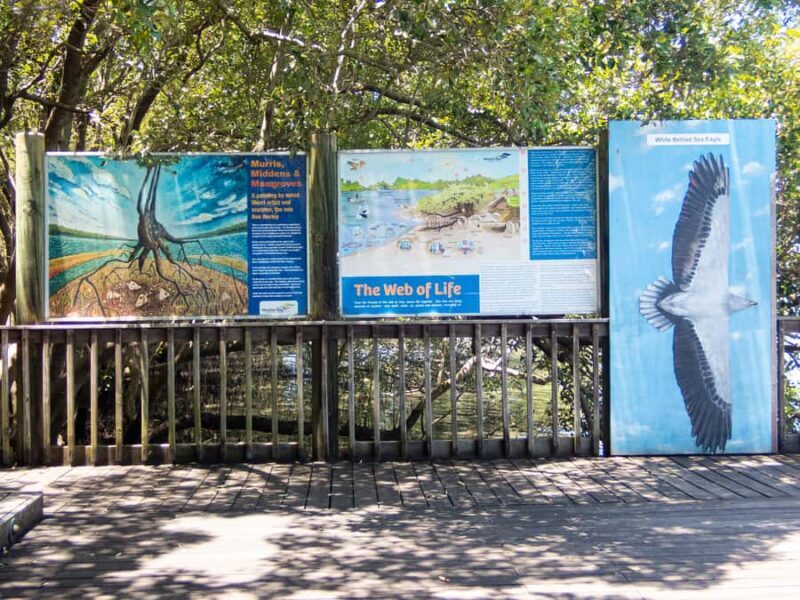 Brisbane: Kangaroos, Birds and Mangroves Coastal Tour - FAQ