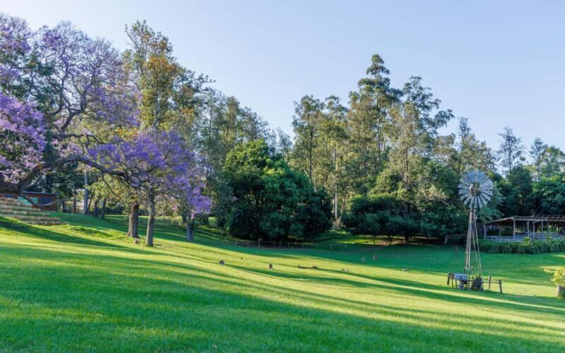 Brisbane: Lone Pine Koala Sanctuary Day Pass - FAQ