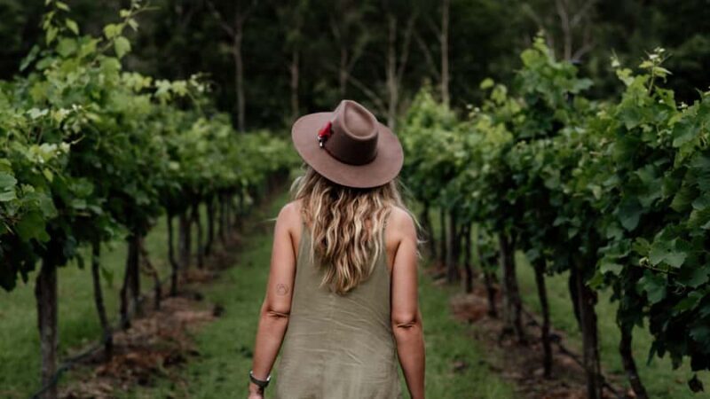 Brisbane: Luxury Winery Tour with Gourmet Lunch & Distillery - Good To Know