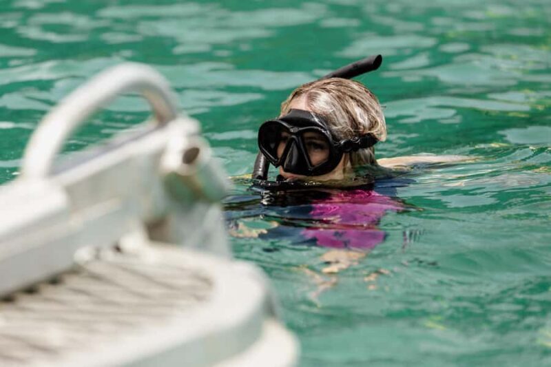 Brisbane: Moreton Island all inclusive Snorkeling Tour - Why This Tour Works Well