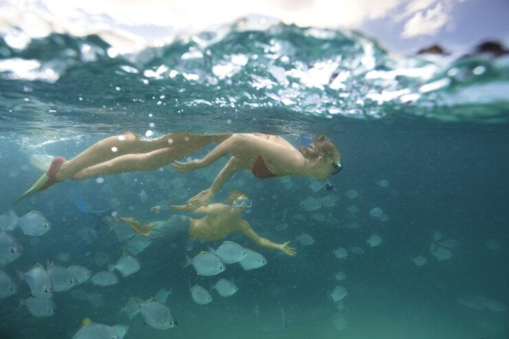 Brisbane: Moreton Island Day Tour With Snorkeling & Dolphins - Tour Overview