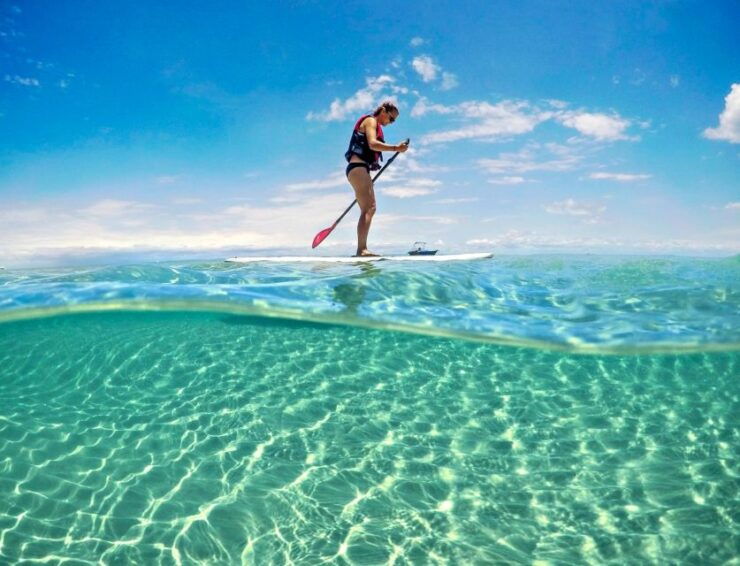 Brisbane: Moreton Island Return Ferry & Adventure Day Pass - Activity Details