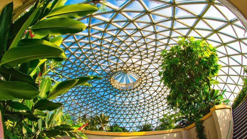 Brisbane Mount Coot-Tha Half-Day Small Group Tour - Is the half-day price worthwhile?