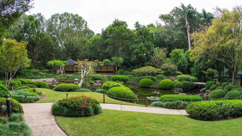 Brisbane Mount Coot-Tha Half-Day Small Group Tour - Pickup, timing and a few practical details