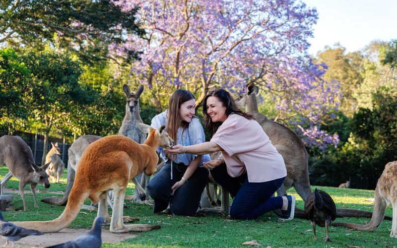 Brisbane River Cruise with Lone Pine Koala Sanctuary Admission - Who will enjoy this trip most?