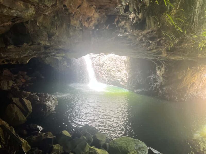 Brisbane: Springbrook and Mt Tamborine Glow Worm and Skywalk - Frequently Asked Questions