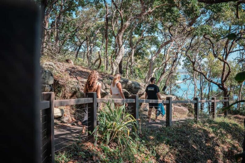 Brisbane: Sunshine Coast Hinterland & Noosa Scenic Tour - Timing and Pacing