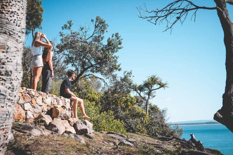 Brisbane: Sunshine Coast Hinterland & Noosa Scenic Tour - Who Should Book This Tour?