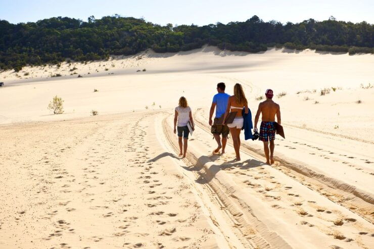 Brisbane: Tangalooma Desert Safari Day Cruise Transfers - Activity Details