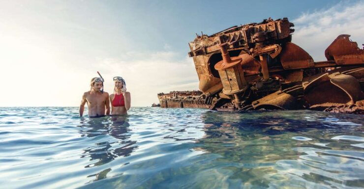 Brisbane: Tangalooma Snorkel the Wrecks Day Cruise Transfers - Experience