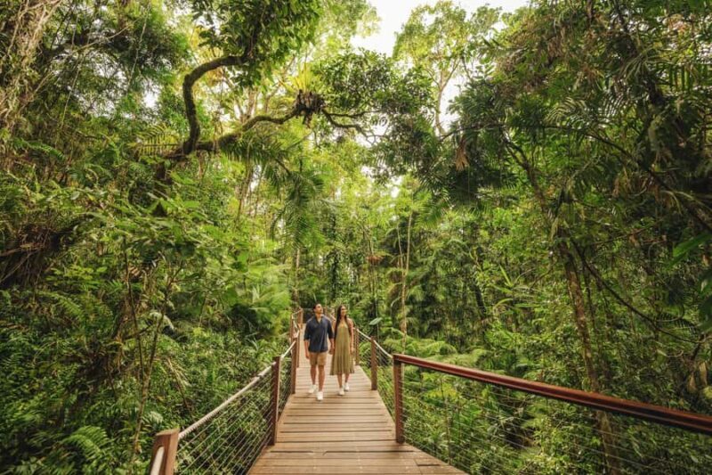 Brisbane to Daintree Whitsundays & Reef 9 Day Comfort Tour - Exploring Queensland in Comfort and Style