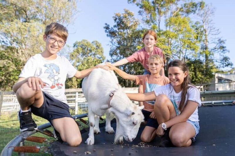 Brisbane: Trevena Glen Farm 1hr Animal Experience - The Sum Up