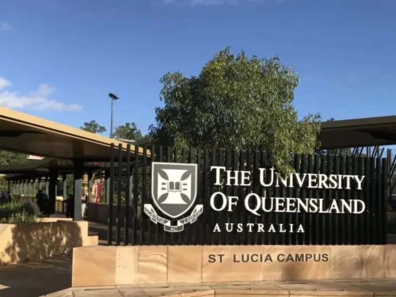 Brisbane: University of Queensland Guided Walking Tour - What to Expect on the Tour