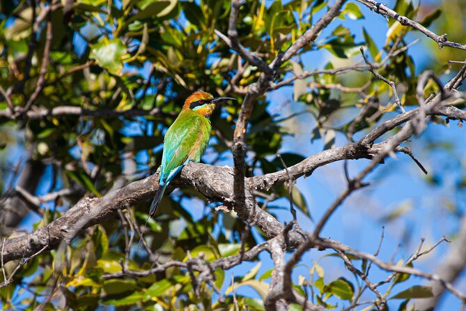 Brisbane: Wildlife and Wilderness Private Coastal Tour - Common Questions