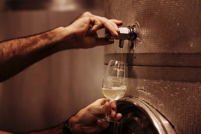 Brisbane: Wine & Dine In The Vines - Brisbane: Wine & Dine In The Vines — A Complete Review