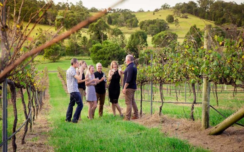 Brisbane: Wine & Dine In The Vines - Exploring the Itinerary: What to Expect