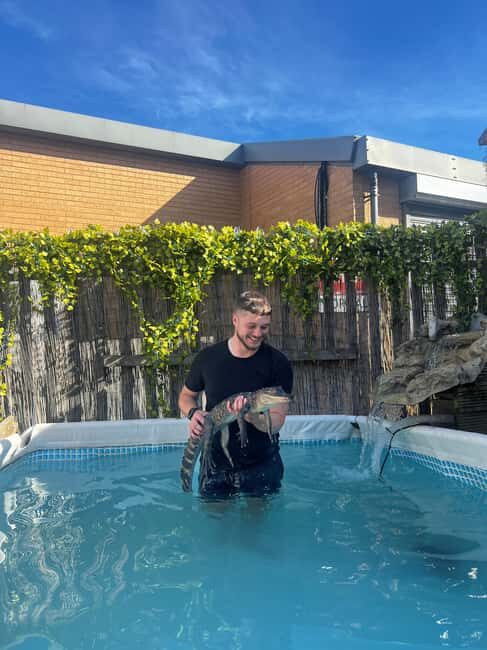 Bristol: Crocodile Swimming Experience coffee and cake - An adventure with a twist: what to expect