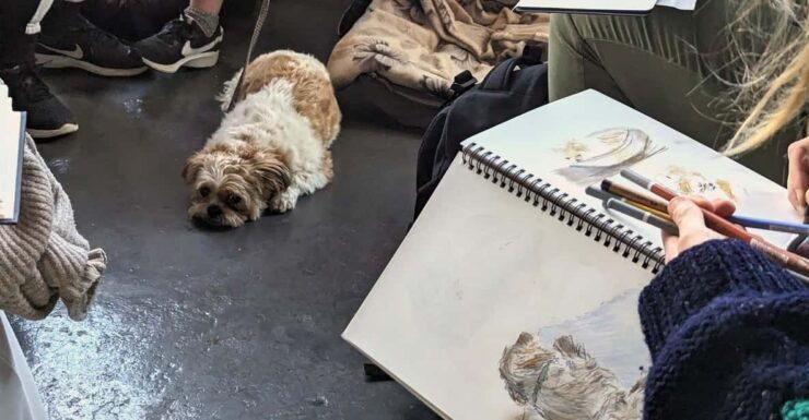 Bristol: Dog Life Drawing Led by Local Artist Cai Burton - Good To Know