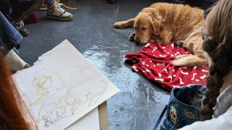 Bristol: Dog Life Drawing Led by Local Artist Cai Burton - Booking Information