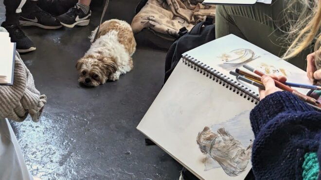 Bristol: Dog Life Drawing Led by Local Artist Cai Burton - Class Experience