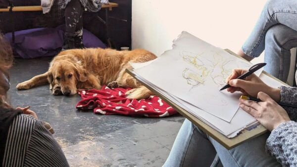 Bristol: Dog Life Drawing Led by Local Artist Cai Burton - About the Artist