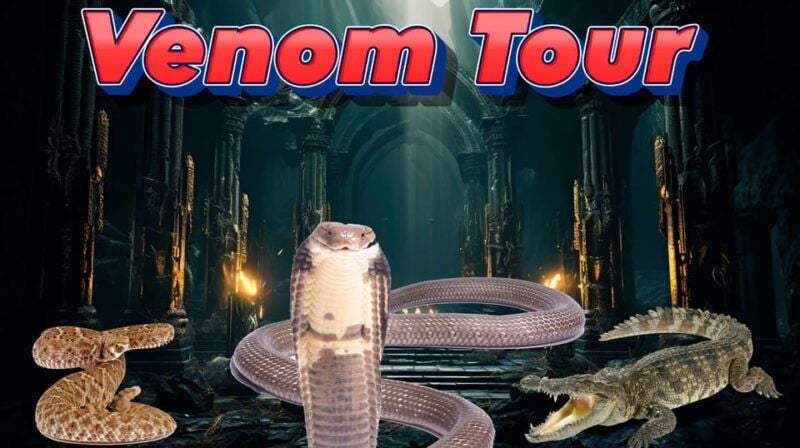 Bristol: Venomous Snake Tour with Reptile Photo - Good To Know